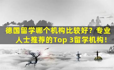 德国留学哪个机构比较好？专业人士推荐的Top 3留学机构！